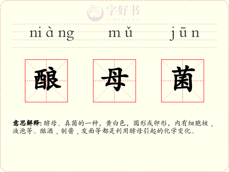 酿母菌