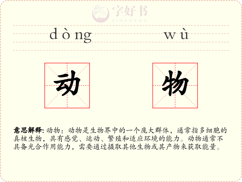 动物