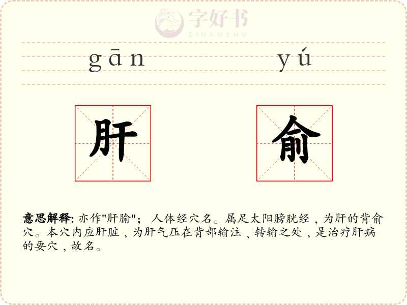 肝俞