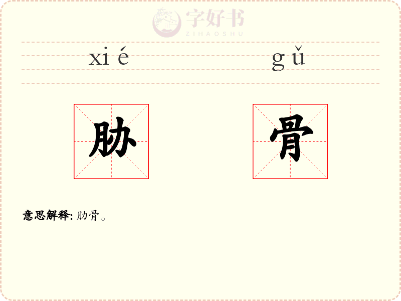 胁骨