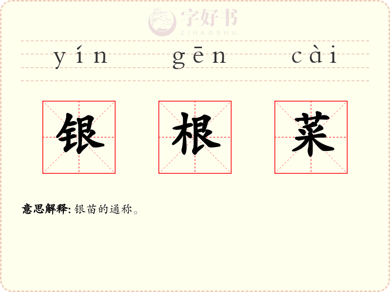 银根菜