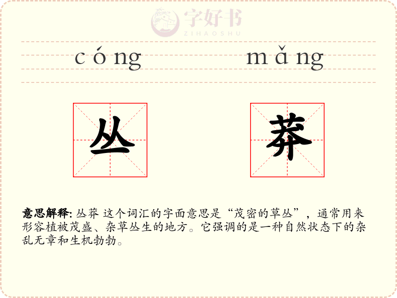 丛莽
