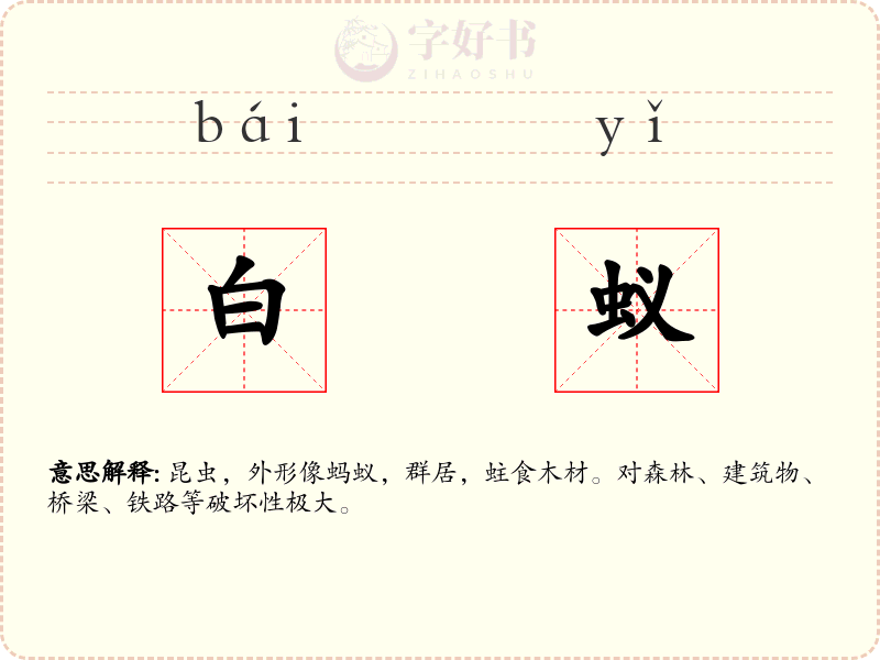 白蚁