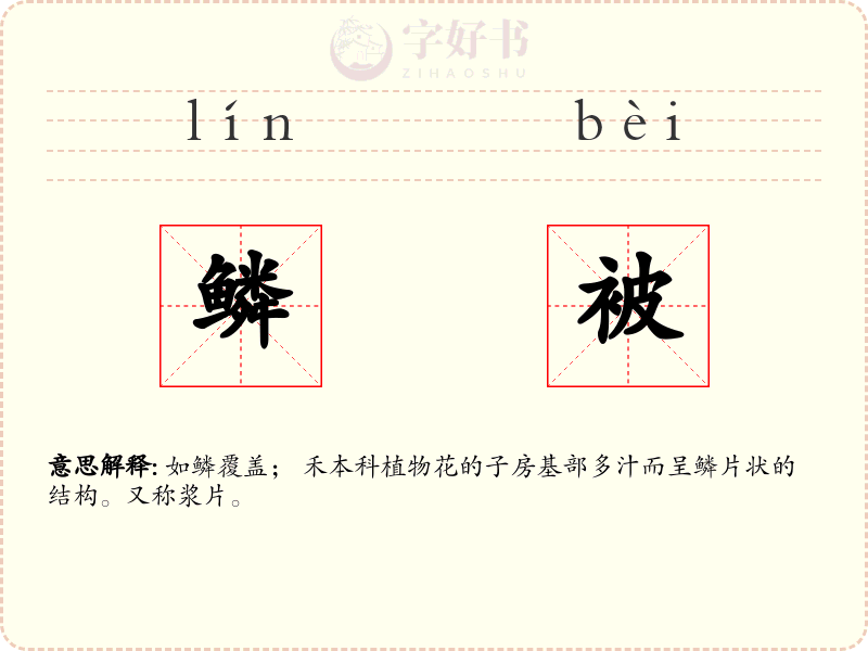 鳞被