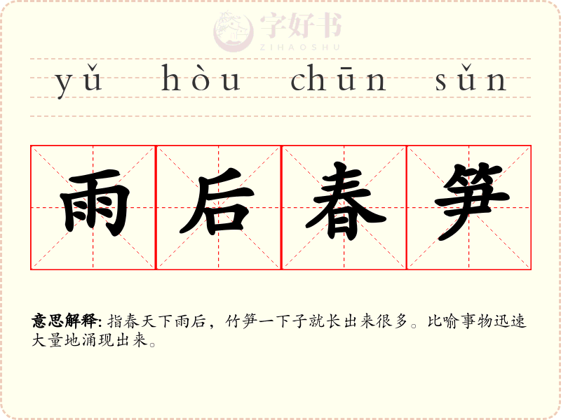 雨后春笋
