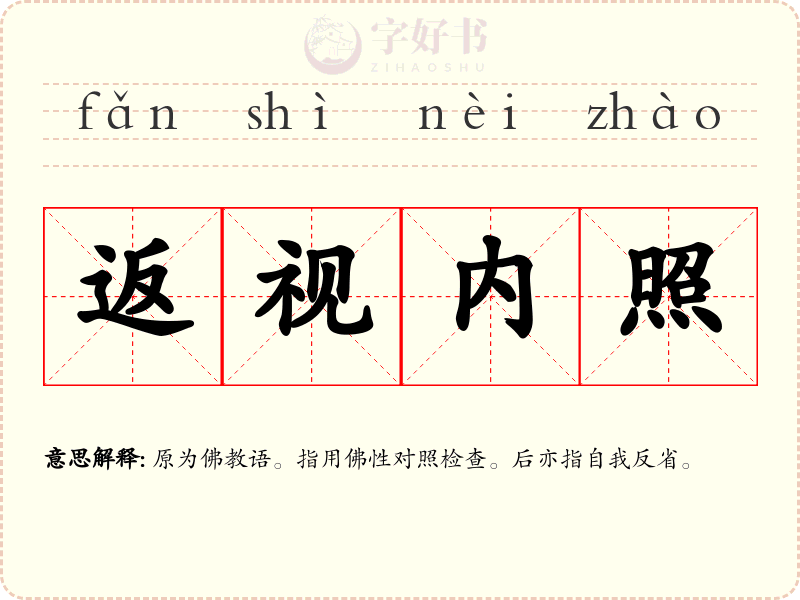 返视内照