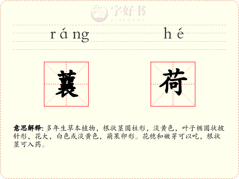 蘘荷