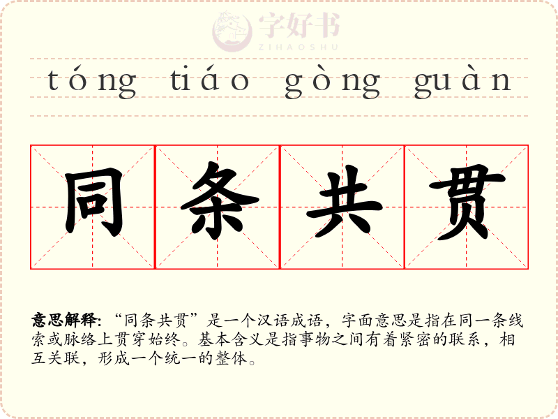 同条共贯
