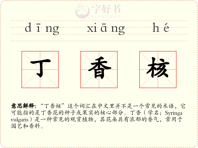 丁香核