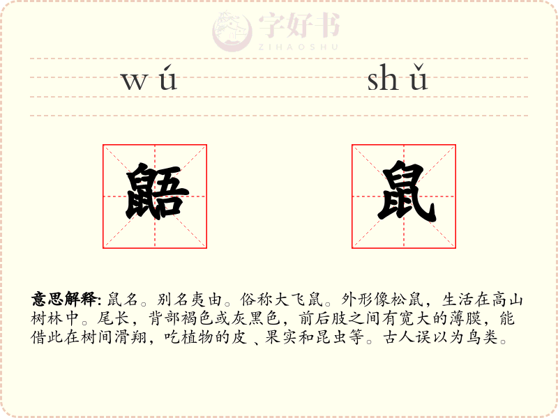 鼯鼠