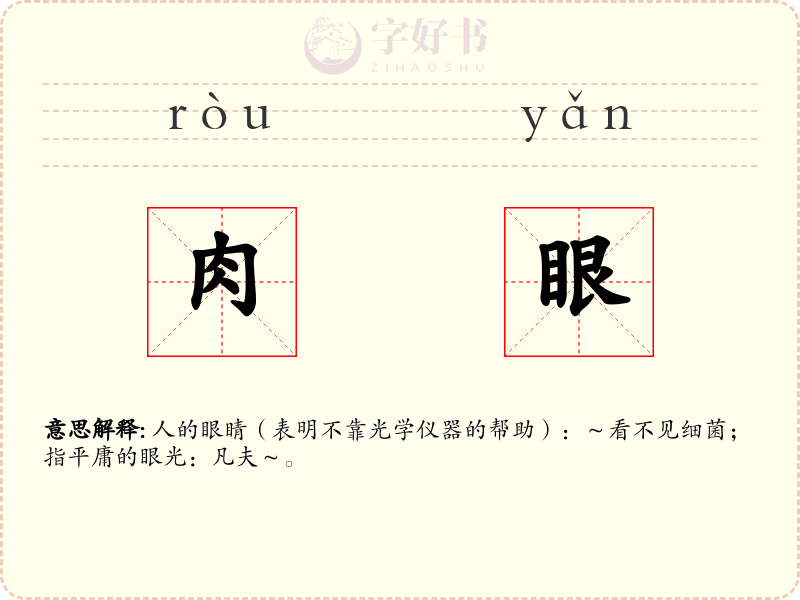 肉眼
