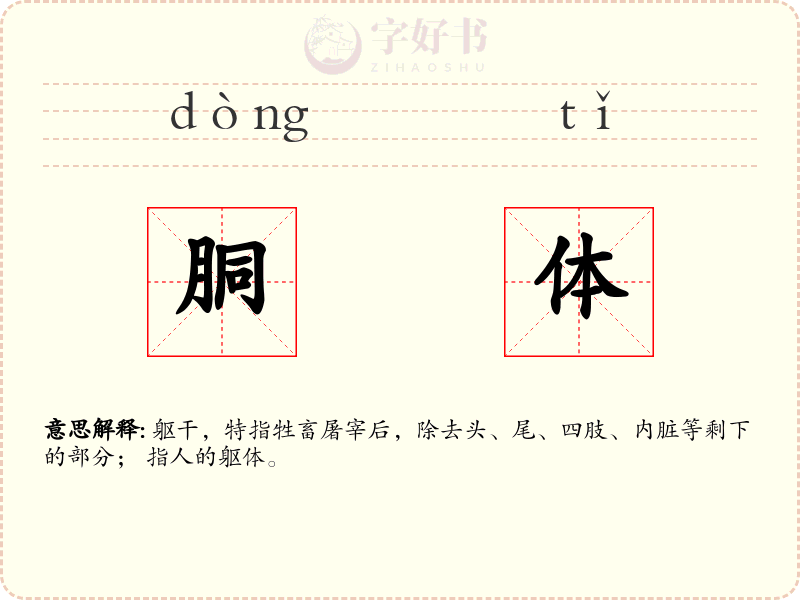 胴体