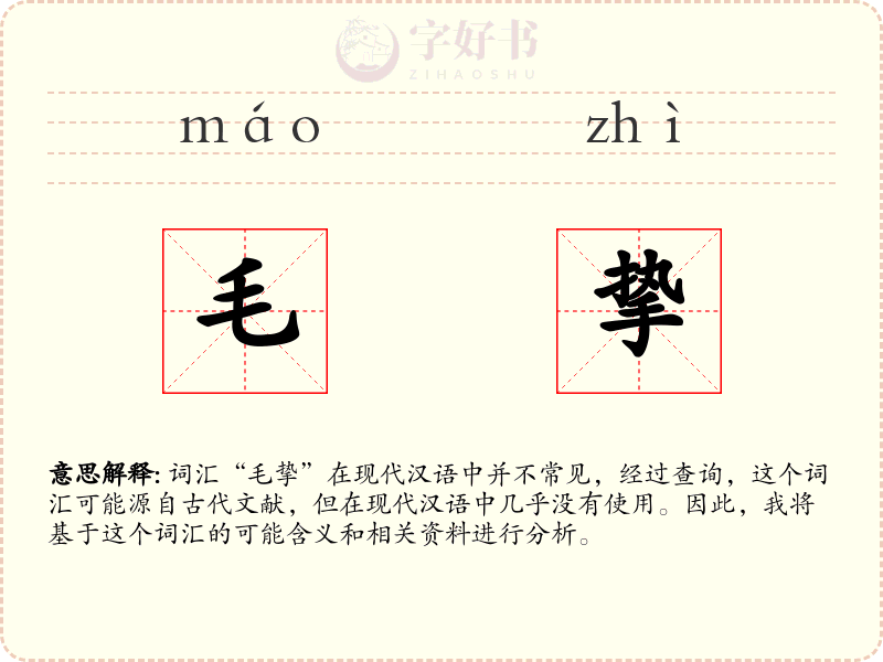毛挚