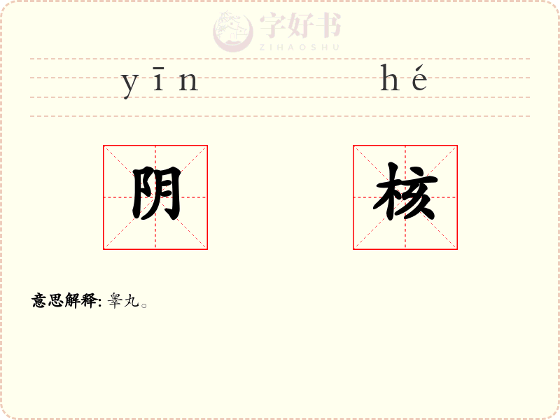 阴核