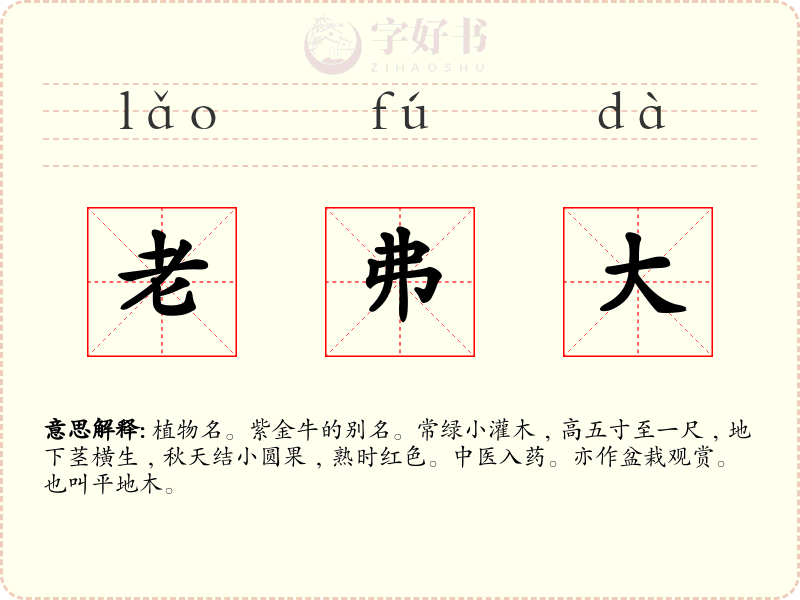 老弗大