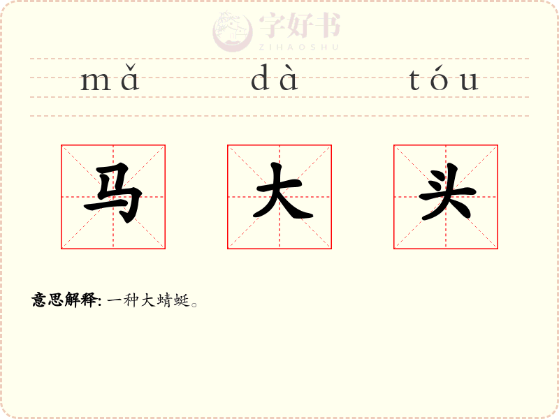 马大头