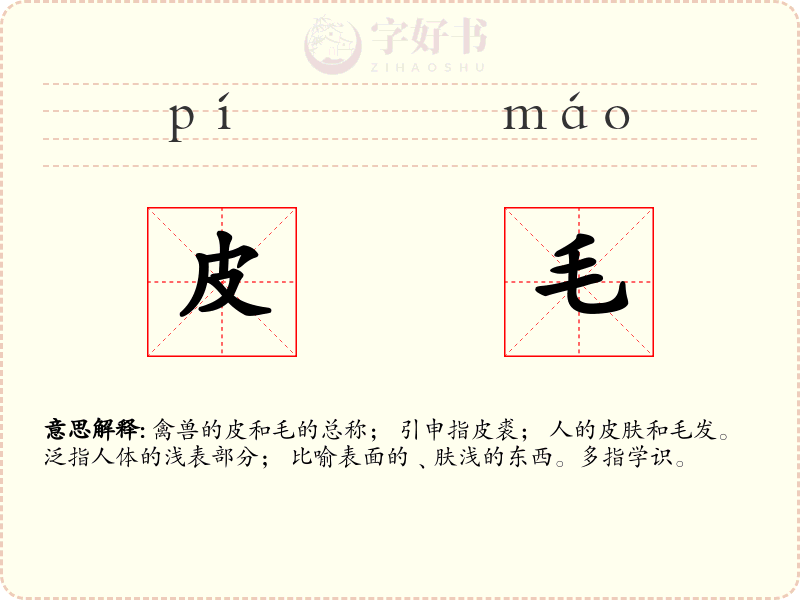 皮毛