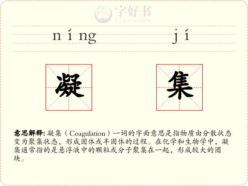 凝集