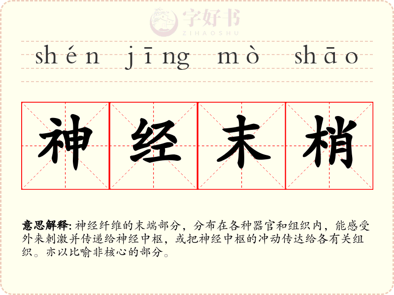 神经末梢