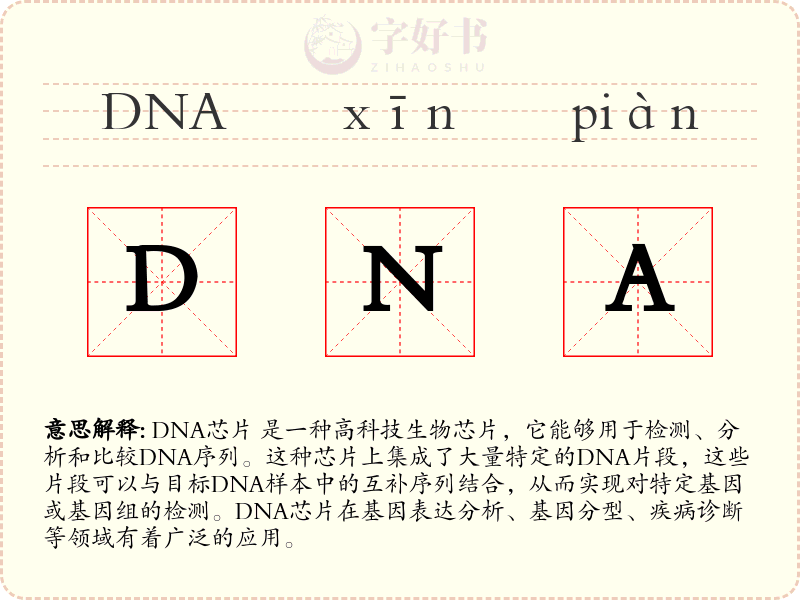 DNA芯片