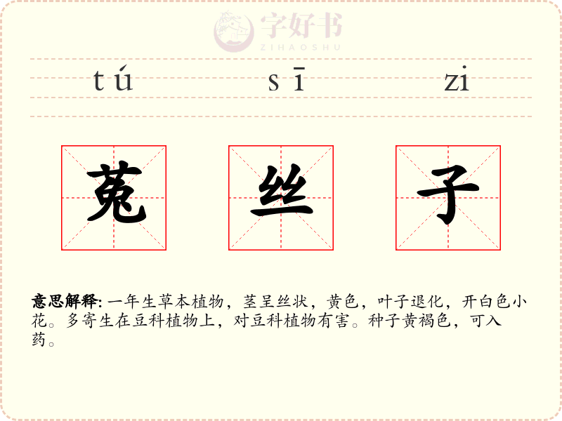 菟丝子