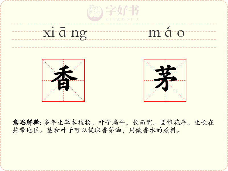 香茅
