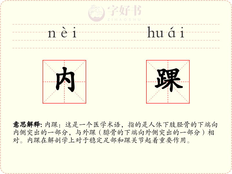 内踝