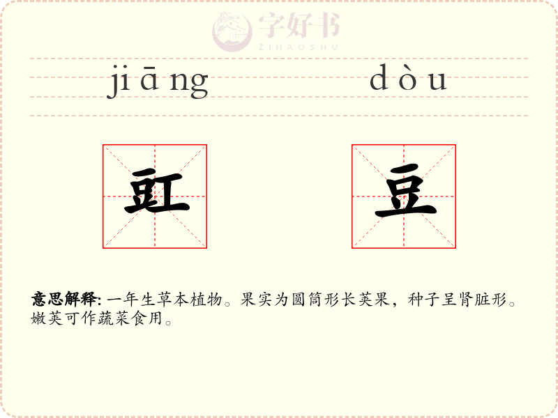 豇豆