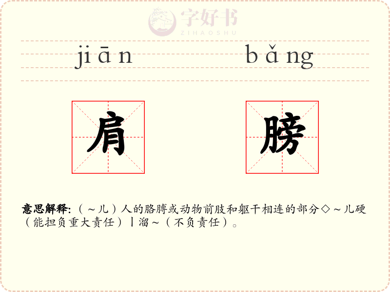 肩膀