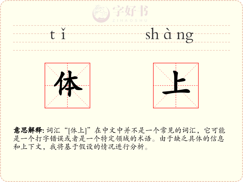 体上