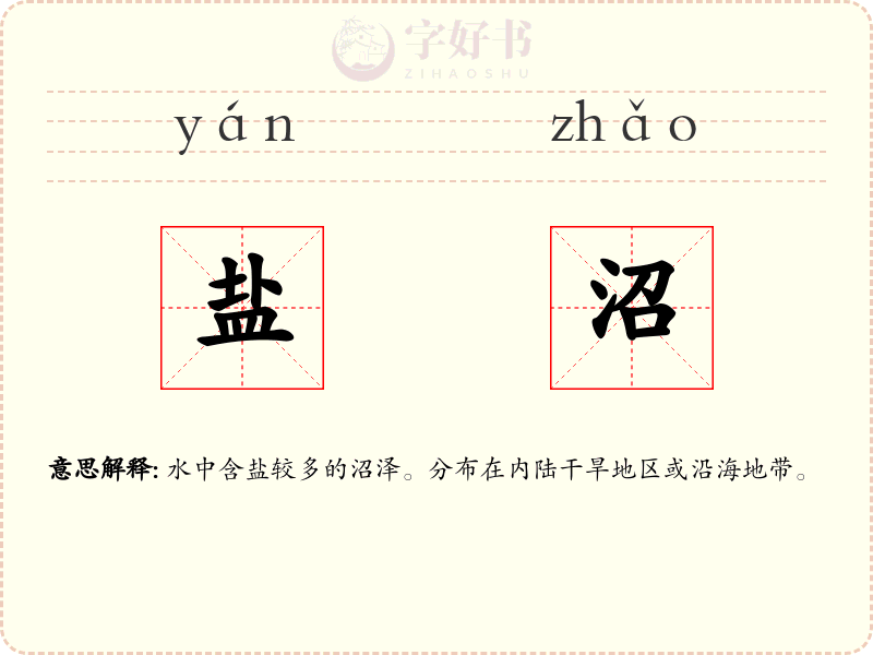 盐沼
