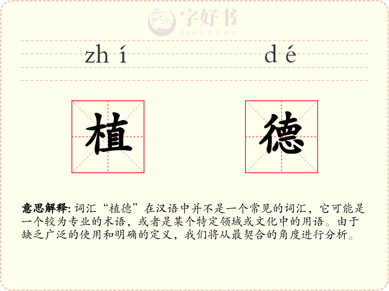植德