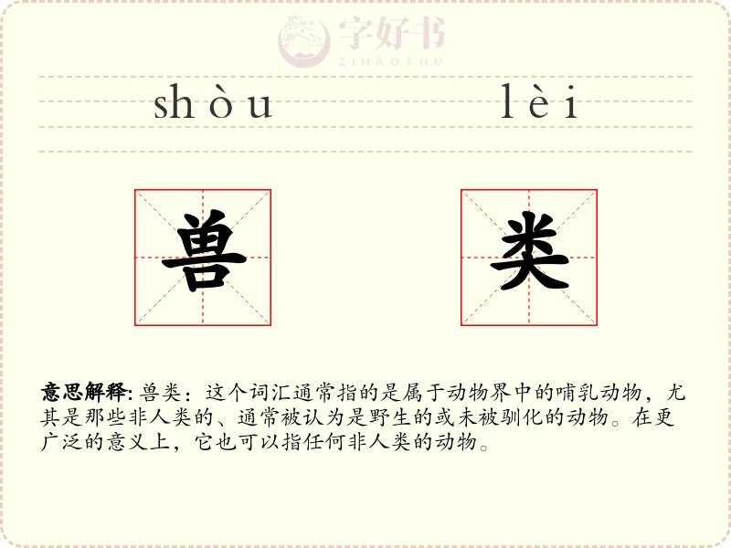 兽类