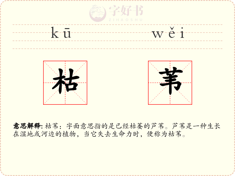 枯苇