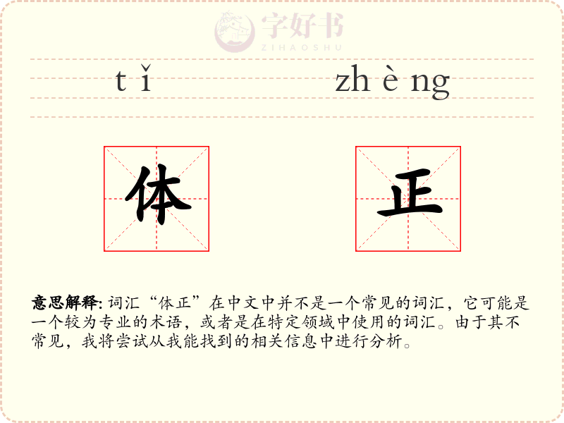 体正