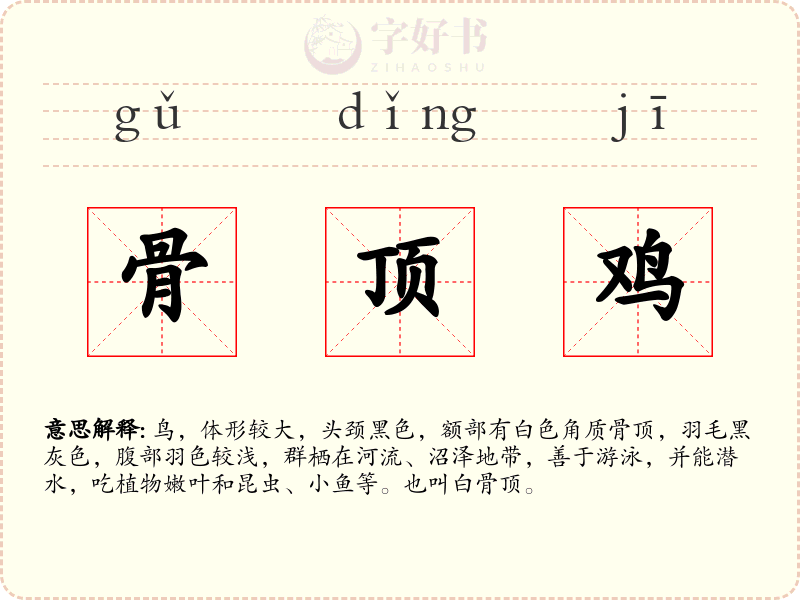 骨顶鸡