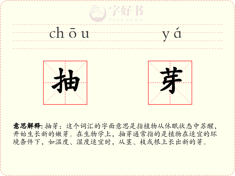 抽芽