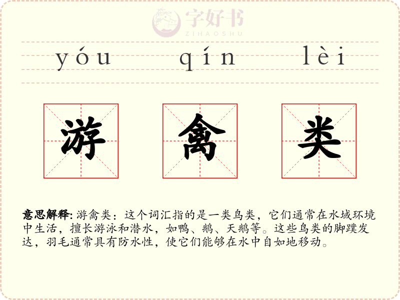 游禽类