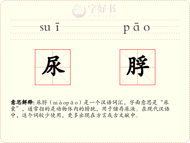 尿脬