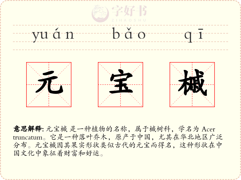 元宝槭