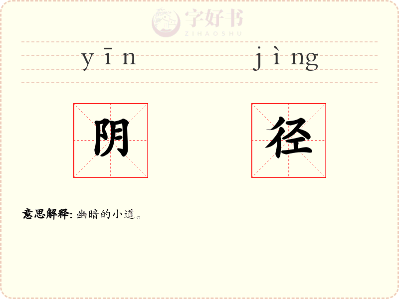 阴径
