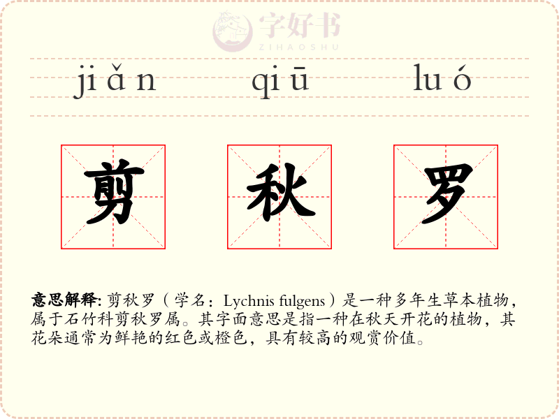 剪秋罗