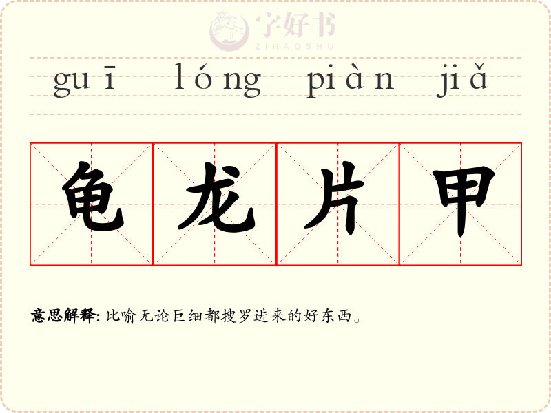 龟龙片甲