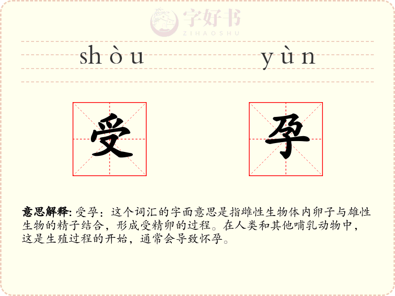 受孕