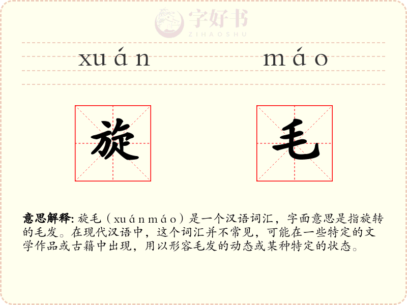旋毛