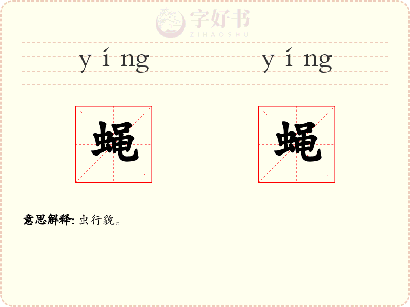 蝇蝇