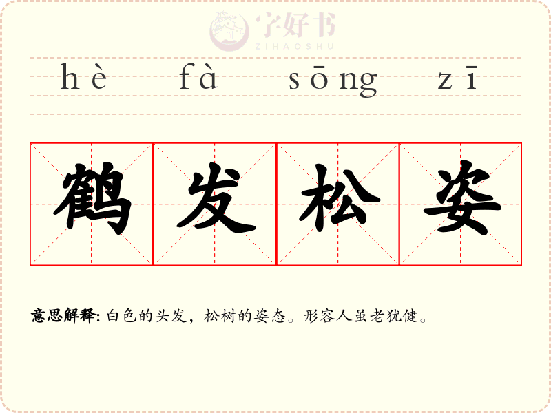 鹤发松姿