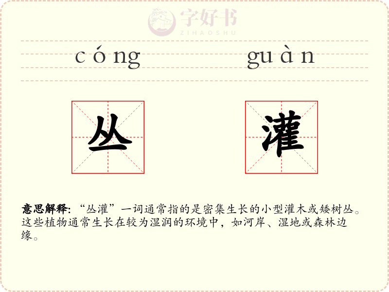 丛灌