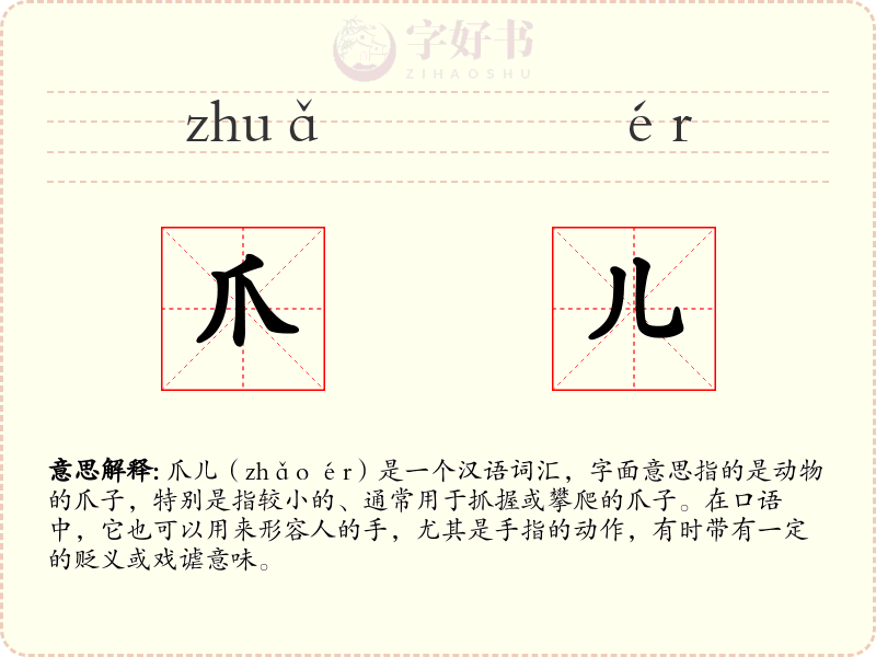 爪儿