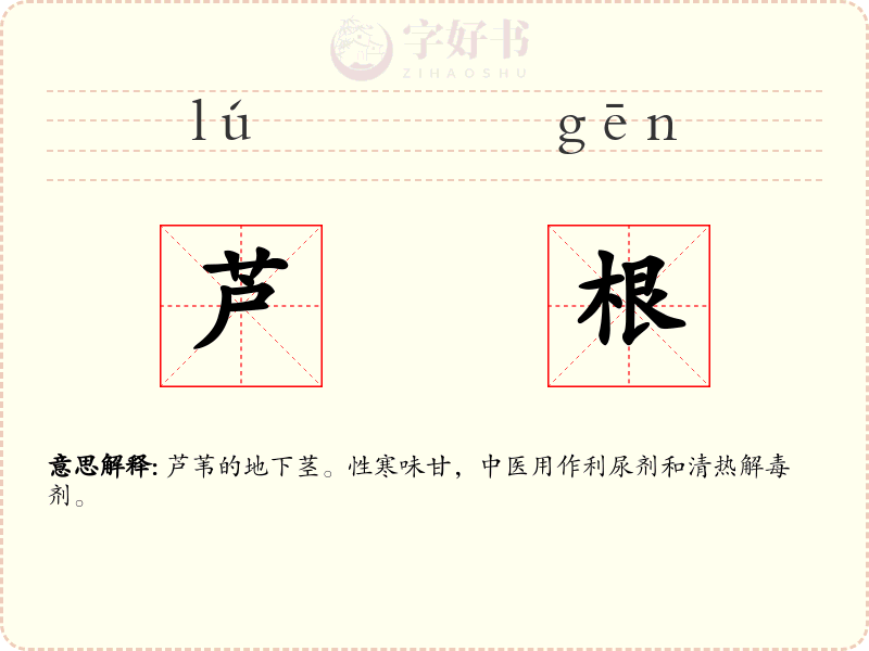 芦根
